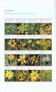 Field Guide to the Wildflowers of Georgia and Surrounding States