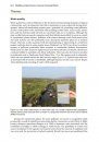 Wildlife and Wind Farms, Conflicts and Solutions, Volume 1
