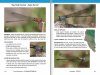 A Field Guide to the Damselflies & Dragonflies of Arizona and Sonora