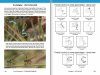 A Field Guide to the Damselflies & Dragonflies of Arizona and Sonora