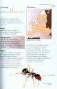 Fourmis d'Europe Occidentale [Ants of Britain and Europe]