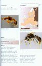 Fourmis d'Europe Occidentale [Ants of Britain and Europe]