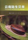 Terrestrial Molluscs in Yunnan [Chinese]