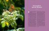 Das Geheime Leben der Insekten: Luftakrobaten und Kletterkünstler in Unseren Gärten [The Secret Life of Insects: Aerial Acrobats and Climbing Artists in Our Gardens]