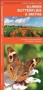 Illinois Butterflies & Moths