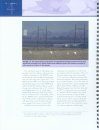 Reducing Avian Collisions with Power Lines