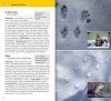 Welche Tierspur ist das?: 106 Tierspuren Einfach Bestimmen [Which Animal Track is That?: Easily Identifying 106 Animal Tracks]