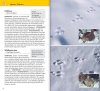 Welche Tierspur ist das?: 106 Tierspuren Einfach Bestimmen [Which Animal Track is That?: Easily Identifying 106 Animal Tracks]