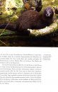 Marder, Iltis, Nerz und Wiesel: Kleine Tiere, große Jäger [Martens, Polecats, Minks And Weasels: Small Animals, Big Hunters]