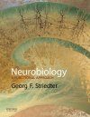 Neurobiology: A Functional Approach