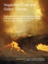 Vegetation Fires and Global Change