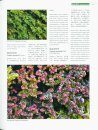 Higher Plants of China in Colour, Volume 1: Bryophytes [English / Chinese]
