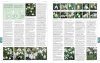 RHS A-Z Encyclopedia of Garden Plants