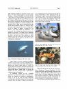 The Recent Molluscan Fauna of Île Clipperton (Tropical Eastern Pacific)