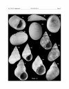 The Recent Molluscan Fauna of Île Clipperton (Tropical Eastern Pacific)