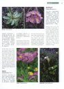 Higher Plants of China in Colour, Volume 6: Angiosperms: Diapensiaceae – Solanaceae [English / Chinese]