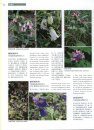 Higher Plants of China in Colour, Volume 7: Angiosperms: Scrophulariaceae – Compositae [English / Chinese]