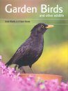 Garden Birds and Other Wildlife