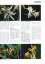 Higher Plants of China in Colour, Volume 9: Angiosperms: Taccaceae – Orchidaceae [English / Chinese]