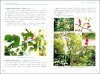 Guizhou Moraceae Plants Resources Atlas and Utilization Status [Chinese]