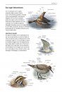 Alle Vogels van Europa [Birds of Europe, North Africa, and the Middle East]