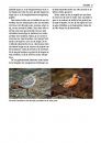 Alle Vogels van Europa [Birds of Europe, North Africa, and the Middle East]