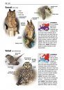 Alle Vogels van Europa [Birds of Europe, North Africa, and the Middle East]