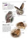 Alle Vogels van Europa [Birds of Europe, North Africa, and the Middle East]
