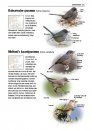 Alle Vogels van Europa [Birds of Europe, North Africa, and the Middle East]