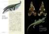 Biological Mystery Series, Volume 9: Cenozoic Era [Japanese]