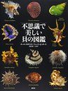 Fushigide Utsukushi kai no Zukan Tankobon [Picture Book of Mysterious and Beautiful Shells]