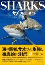 Sharks [Japanese]