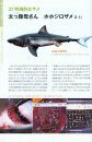Sharks [Japanese]