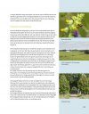 Langs de Nederrijn: Natuur en Cultuur tussen Wageningen en Wijk bij Duurstede [Along the Lower Rhine: Nature and Culture Between Wageningen and Wijk bij Duurstede]