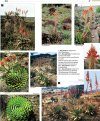 Succulents of Southern Africa