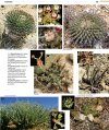 Succulents of Southern Africa