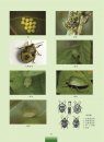 The Illustrated of Common Farmland Insects [Chinese]
