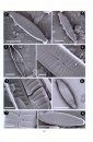 Diatoms of Europe, Volume 8: The Diatom Genus Gomphonema from the Republic of Macedonia