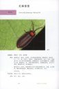 Ecological Atlas of Chinese Fireflies [Chinese]