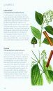 Green Guide to Herbs of Britain and Europe