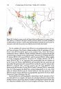 ZooKeys 528: Phylogenetic Revision of Minyomerus Horn, 1876 sec. Jansen & Franz, 2015 (Coleoptera, Curculionidae) Using Taxonomic Concept Annotations and Alignments