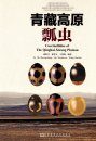 Coccinellidae of The Qinghai-Xizang Plateau [Chinese]