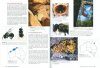 The Australian Native Bee Book