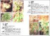 Cotton Field Weed Identification and Control Color Atlas [Chinese]
