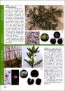 Identification Atlas of Agricultural Weeds in China [Chinese]