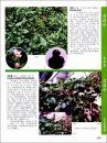 Identification Atlas of Agricultural Weeds in China [Chinese]