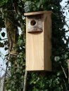 Woodpecker Box