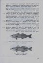 Systematic Synopsis of Fishes of The South China Sea, Volume 1 [Chinese]