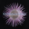 Sea Creatures in Glass