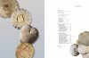 Collector's Guide to Texas Cretaceous Echinoids